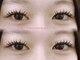 プカ(Puka)の写真