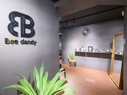 ビーダンディ(Bee dandy)の写真