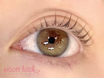 ニコットラッシュ 神戸マルイ店(nicott lash)/まつげパーマ/パリジェンヌ/三宮