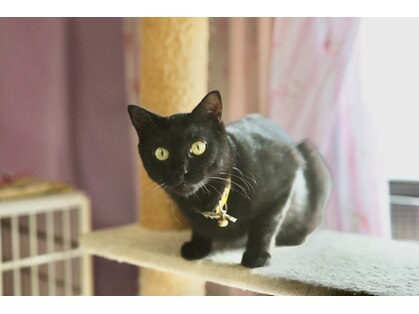 ジュリアンの写真