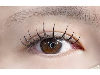 プリート(Pulito)/フラットラッシュ120