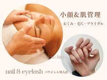 サロンディト(ditto)