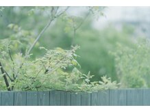 トリコテ ル ブラン(tricoter le blanc)の雰囲気(〈7月のときめぐりケア〉守りながら、夏をまとう。)