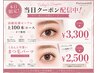 【当日限定☆フラットラッシュ高級抗菌セーブル上100本】￥3300オフ込
