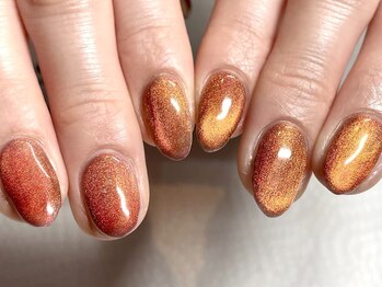 グルグルリベラ ネイルアンドアイラッシュ 本八幡店(GULGUL Libera)の写真/【平日限定★マグネットワンカラーが¥5490!!】長持ち&自爪を傷めない！奥行きのある輝きで美しい指先に！