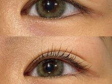 ワンダーウォール セピア(WONDER WALL)