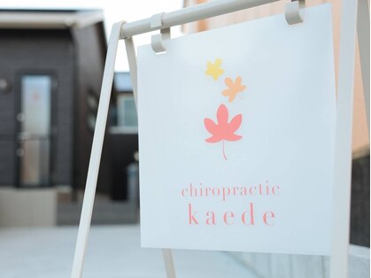 カイロプラクティック楓 富州原店の写真
