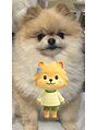 キュープ 茨城水戸店(Qpu) 愛犬のエクレアちゃんです♪