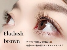 ハーゼ(Hase)/Flatlash brown