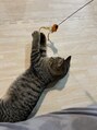 千里山りらく 里親募集の掲示板で出会った猫ちゃん☆可愛すぎて激愛してます笑