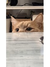 スチョン 本八幡店(Schon)&nbsp;lenon 