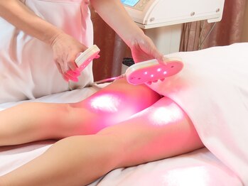 プルミエール銀座/光痩身