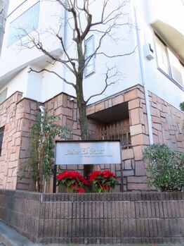 サロン エルマール(salon El Mar)/道順－角に看板があります