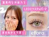 【パリエク★マツエク+パーマ】LED80本×まつげパーマ