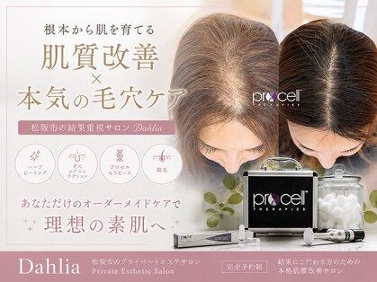 ダリア(Dahlia)の写真
