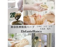エレファンテブランコ(Elefante Blanco)
