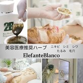エレファンテブランコ(Elefante Blanco)