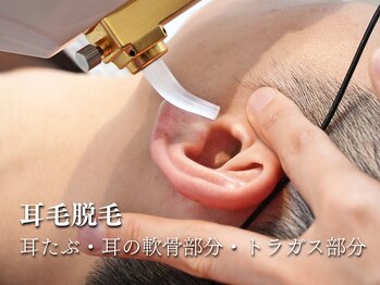 ビクトリー(VICTORY)/耳毛脱毛