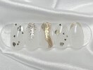 【定額Bコース16種】