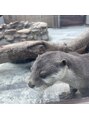 グレースビューティーサロン グレース静岡店(GRACE BEAUTY SALON) 動物が大好きなので、動物園や水族館に行くのが好きです！癒し♪