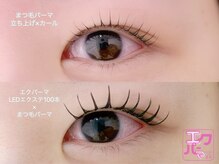 リノ(Lino)/エクパーマ 100本 Cカール10ミリ