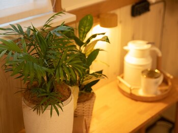 アルッカ(Arukka)/お茶のサービスあります♪