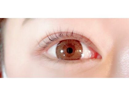 ソルテ(Sorte)の写真