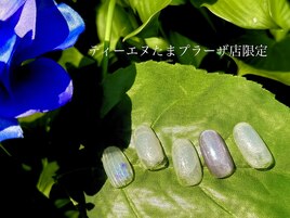《季節限定》たまプラーザ店限定