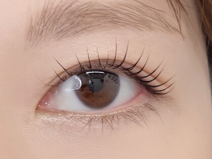 リプリ(RePuli)の写真