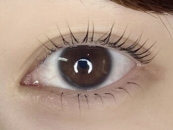 ザ コースト バイ ネオリーブ(The coast by neolive)/パリジェンヌラッシュリフト