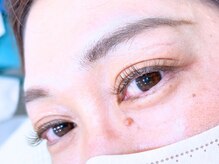 ステラ/ボリュームラッシュ80束