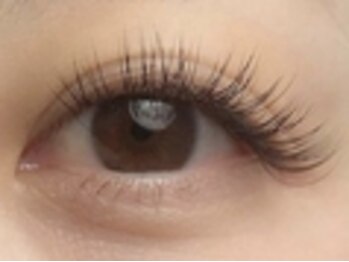 ラピア アイラッシュ(Lapia)/まつげエクステ140本