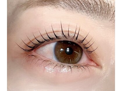 ダイス(Dice)の写真