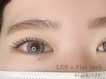 リル(Rire)/LEDフラットラッシュ120本＊＊