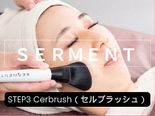 ニコリ(NICOLI)/ＳＴＥＰ3　セルブラッシュ