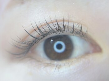センシズアネックス(SENSES annex)の写真/あなたのコンプレックスはどこですか？SENSES annex eyelashにお任せ下さい！！