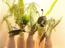 オリジネンタル 四条烏丸(Originental)/店内の生い茂る緑でリラックス