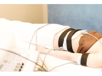 華(hana)/ハイパーウェーブ(EMS)