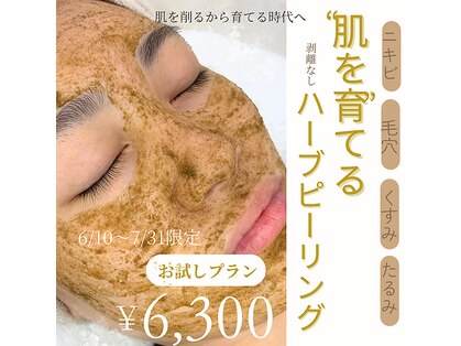 アオミ(aomi)の写真