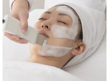 ラバンデュラ(Lavandula)