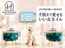 ハチノジネイル