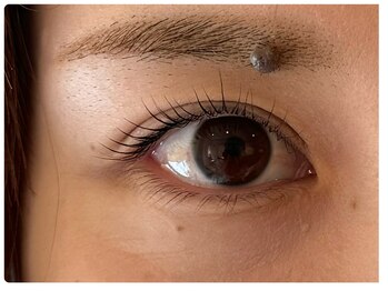 メイヴィ(Maivi)/