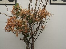 IRONBOY【まつげパーマ・眉毛・マツエク・フェイシャル】の雰囲気(季節ごとに変わる装花をおたのしみください。)