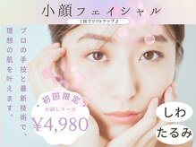 ティープラス 大和鶴間店(T-PLUS)