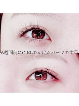 シエル(CIEL)/６週間前のパーマがこんなに綺麗