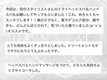 ソルナ 高槻(Soluna)/luzhairで出会えたお客様の声