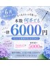 6月限定クーポン！！】120本～160本まで6000円