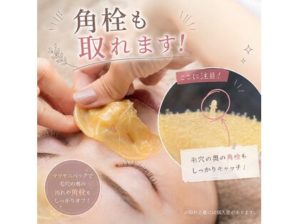 ヒカリ(Hikari)の写真