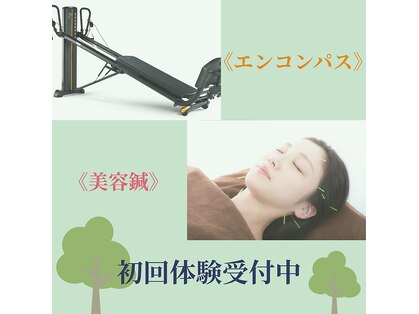 和らぎの森の写真