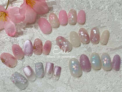 エル(Elle)の写真